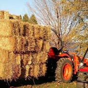 Straw on Wagon