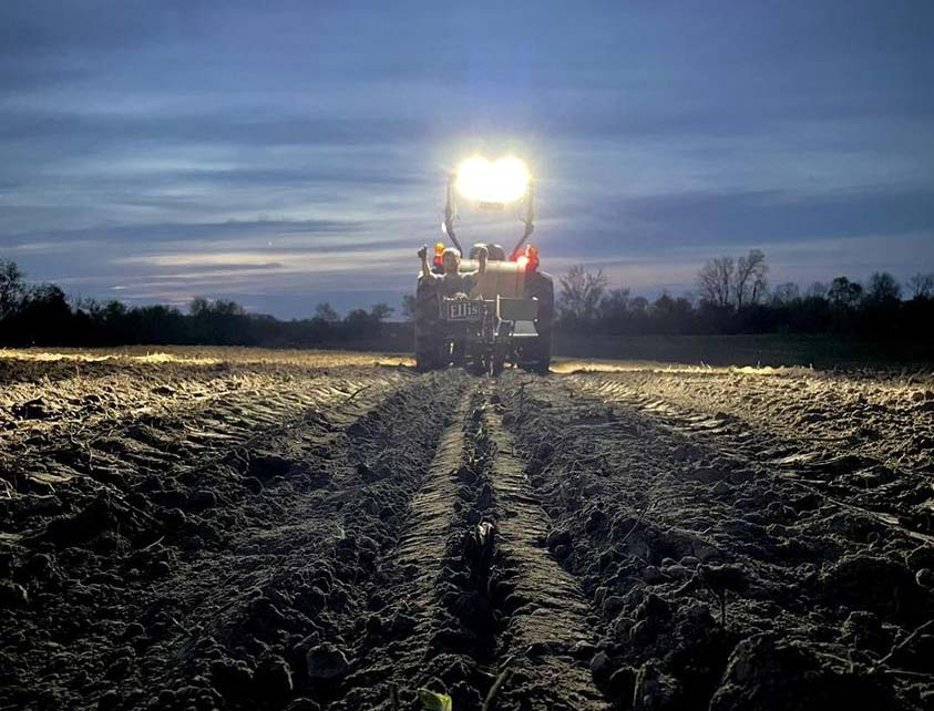 Planting at Night