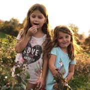 Girls in Raspberry Patch